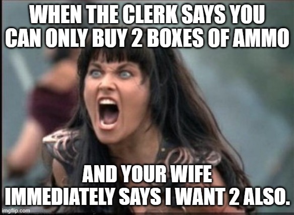 Smart wife | WHEN THE CLERK SAYS YOU CAN ONLY BUY 2 BOXES OF AMMO; AND YOUR WIFE IMMEDIATELY SAYS I WANT 2 ALSO. | image tagged in screaming woman | made w/ Imgflip meme maker