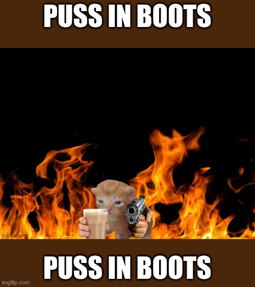 Puss in boots | PUSS IN BOOTS; PUSS IN BOOTS | image tagged in puss in boots | made w/ Imgflip meme maker