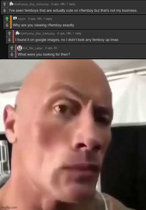 Gay | image tagged in the rock eyebrows | made w/ Imgflip meme maker