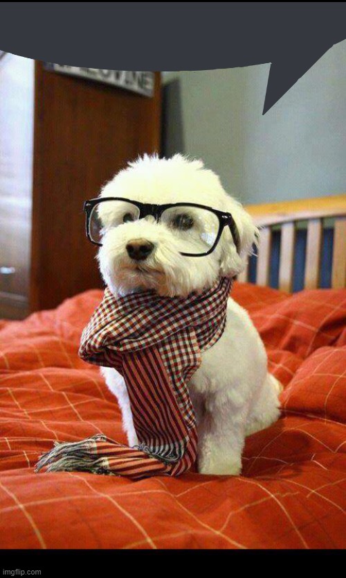 Intelligent Dog | image tagged in memes,intelligent dog | made w/ Imgflip meme maker