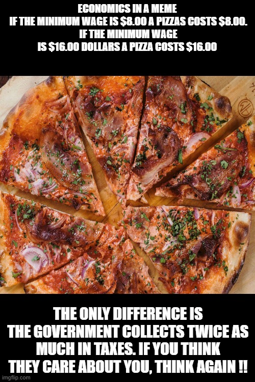All you get's a pizza | ECONOMICS IN A MEME
 IF THE MINIMUM WAGE IS $8.00 A PIZZAS COSTS $8.00.
 IF THE MINIMUM WAGE IS $16.00 DOLLARS A PIZZA COSTS $16.00; THE ONLY DIFFERENCE IS THE GOVERNMENT COLLECTS TWICE AS MUCH IN TAXES. IF YOU THINK THEY CARE ABOUT YOU, THINK AGAIN !! | image tagged in memes,money,taxes | made w/ Imgflip meme maker