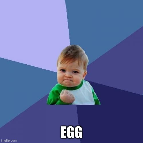 egg | EGG | image tagged in memes,success kid | made w/ Imgflip meme maker