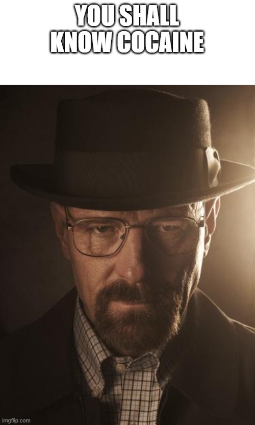 Walter White | YOU SHALL KNOW COCAINE | image tagged in walter white | made w/ Imgflip meme maker