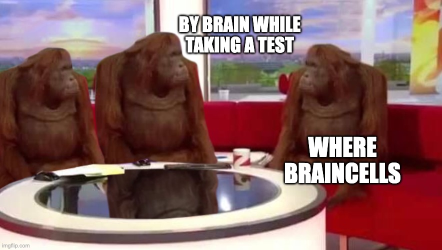 braincells | BY BRAIN WHILE TAKING A TEST; WHERE BRAINCELLS | image tagged in where monkey | made w/ Imgflip meme maker