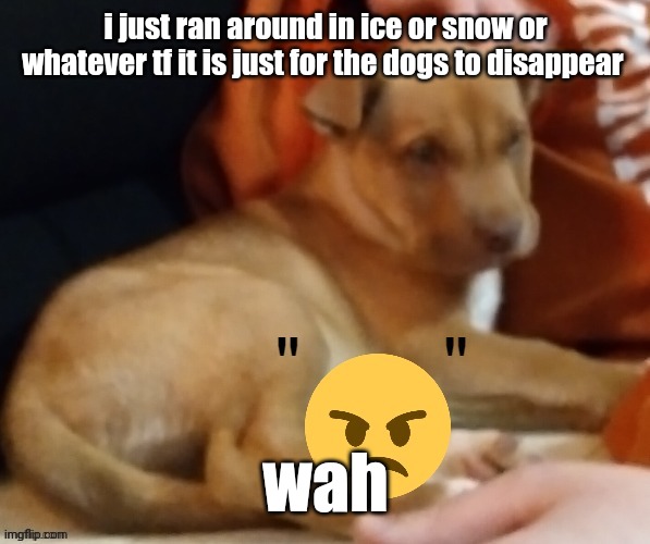 Jllnjufetu865w1svj9527hhld36 | i just ran around in ice or snow or whatever tf it is just for the dogs to disappear; wah | image tagged in ty pogchamp | made w/ Imgflip meme maker