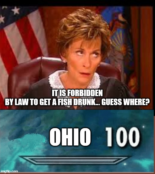 More trivia about Ohio | IT IS FORBIDDEN BY LAW TO GET A FISH DRUNK... GUESS WHERE? OHIO | image tagged in judge judy eye roll | made w/ Imgflip meme maker