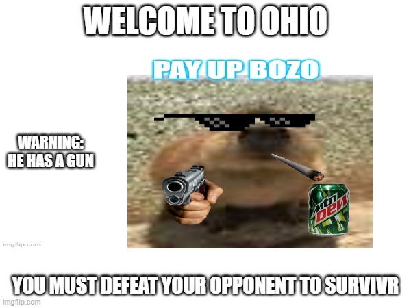Defeat your opponent P.6 | WELCOME TO OHIO; WARNING: HE HAS A GUN; YOU MUST DEFEAT YOUR OPPONENT TO SURVIVR | image tagged in omg,capybara | made w/ Imgflip meme maker