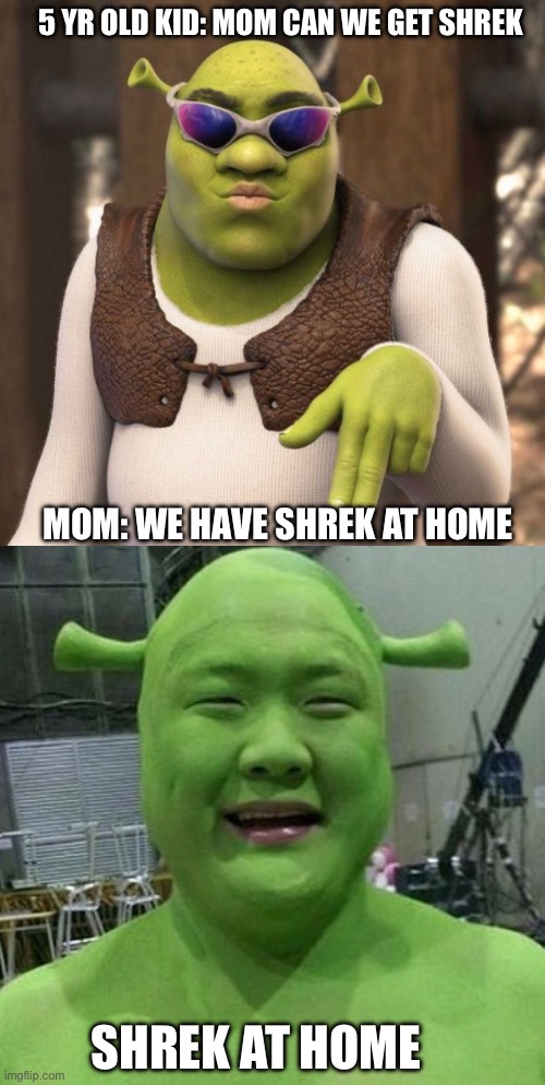 Bad meme | 5 YR OLD KID: MOM CAN WE GET SHREK; MOM: WE HAVE SHREK AT HOME; SHREK AT HOME | image tagged in shrek | made w/ Imgflip meme maker