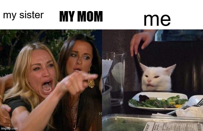 my sister yelling at me | MY MOM; my sister; me | image tagged in memes,woman yelling at cat | made w/ Imgflip meme maker