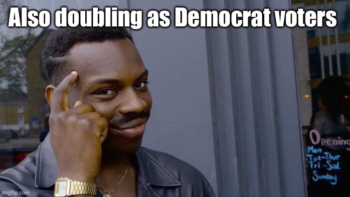 Roll Safe Think About It Meme | Also doubling as Democrat voters | image tagged in memes,roll safe think about it | made w/ Imgflip meme maker