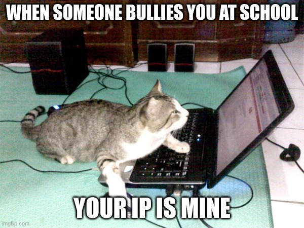 Hacker Cat | WHEN SOMEONE BULLIES YOU AT SCHOOL; YOUR IP IS MINE | image tagged in hacker cat | made w/ Imgflip meme maker