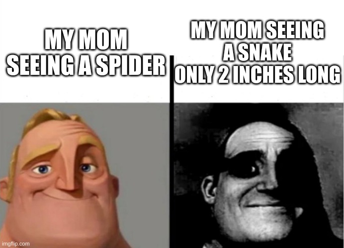 Teacher's Copy | MY MOM SEEING A SNAKE ONLY 2 INCHES LONG; MY MOM SEEING A SPIDER | image tagged in teacher's copy | made w/ Imgflip meme maker