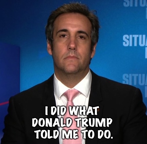 michael cohen | I DID WHAT 
DONALD TRUMP 
TOLD ME TO DO. | image tagged in michael cohen | made w/ Imgflip meme maker