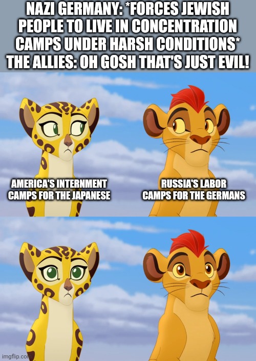 Awkward... | NAZI GERMANY: *FORCES JEWISH PEOPLE TO LIVE IN CONCENTRATION CAMPS UNDER HARSH CONDITIONS*
THE ALLIES: OH GOSH THAT'S JUST EVIL! AMERICA'S INTERNMENT CAMPS FOR THE JAPANESE; RUSSIA'S LABOR CAMPS FOR THE GERMANS | image tagged in kion and fuli side-eye,world war 2 | made w/ Imgflip meme maker