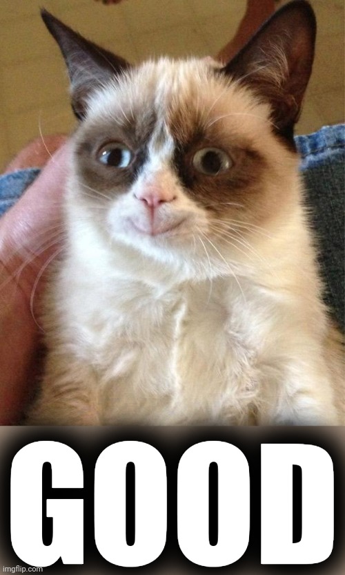 Grumpy Cat Happy Meme | GOOD | image tagged in memes,grumpy cat happy,grumpy cat | made w/ Imgflip meme maker