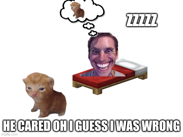 he cared about the cat | ZZZZZ; HE CARED OH I GUESS I WAS WRONG | image tagged in cats,caring | made w/ Imgflip meme maker