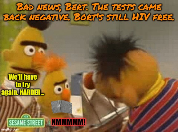 Sesame street lost episodes | Bad news, Bert. The tests came back negative. Bort's still HIV free. We'll have to try again. HARDER... NMMMMM! | image tagged in aids,no this isn t how your supposed to play the game,stop it get some help,bert and ernie,sesame street | made w/ Imgflip meme maker