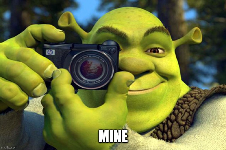 shrek camera | MINE | image tagged in shrek camera | made w/ Imgflip meme maker