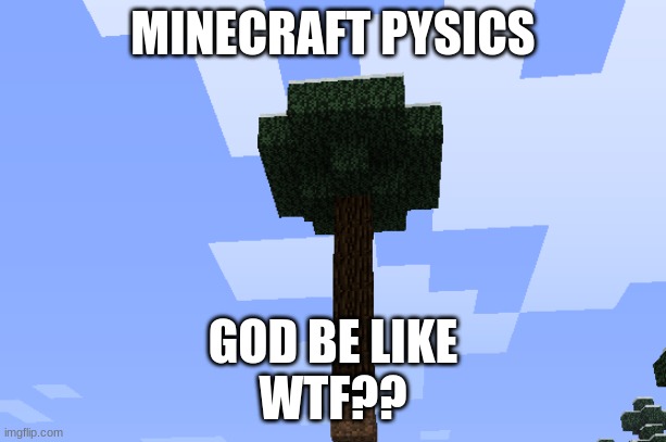 IDK | MINECRAFT PYSICS; GOD BE LIKE

WTF?? | image tagged in games,minecraft | made w/ Imgflip meme maker