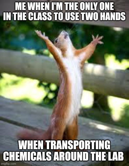 Praise Squirrel | ME WHEN I'M THE ONLY ONE IN THE CLASS TO USE TWO HANDS; WHEN TRANSPORTING CHEMICALS AROUND THE LAB | image tagged in praise squirrel | made w/ Imgflip meme maker