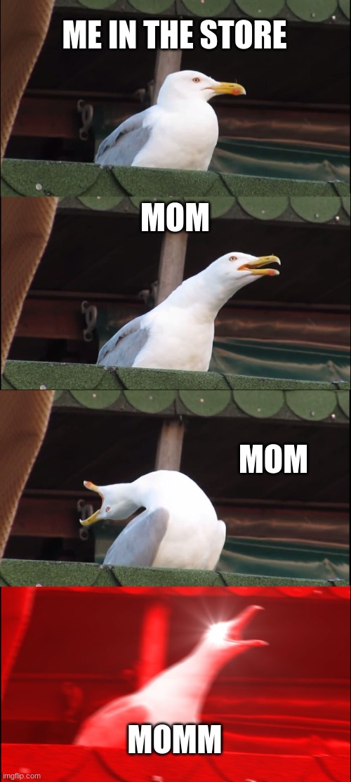Inhaling Seagull | ME IN THE STORE; MOM; MOM; MOMM | image tagged in memes,inhaling seagull | made w/ Imgflip meme maker