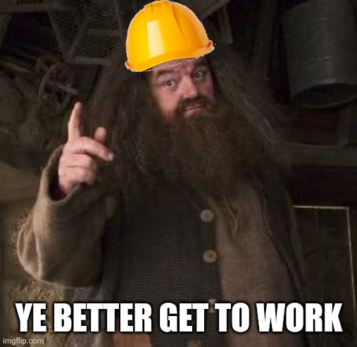 hagrid  | YE BETTER GET TO WORK | image tagged in hagrid | made w/ Imgflip meme maker