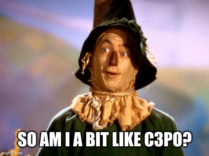Wizard of Oz Scarecrow | SO AM I A BIT LIKE C3PO? | image tagged in wizard of oz scarecrow | made w/ Imgflip meme maker