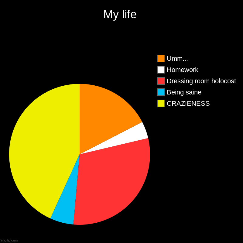 My life | CRAZIENESS, Being saine, Dressing room holocost, Homework, Umm... | image tagged in charts,pie charts | made w/ Imgflip chart maker