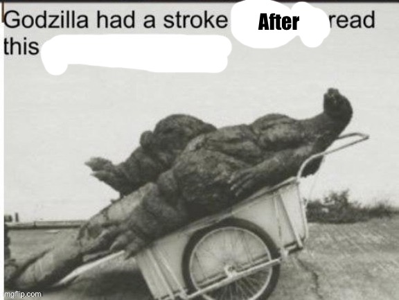 Godzilla had a stroke trying to read this and fricking died | After | image tagged in godzilla had a stroke trying to read this and fricking died | made w/ Imgflip meme maker