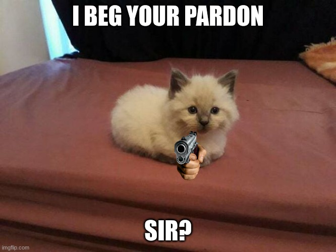 I BEG YOUR PARDON; SIR? | made w/ Imgflip meme maker