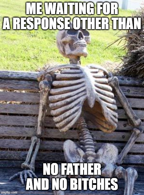 Waiting Skeleton Meme | ME WAITING FOR A RESPONSE OTHER THAN; NO FATHER AND NO BITCHES | image tagged in memes,waiting skeleton | made w/ Imgflip meme maker