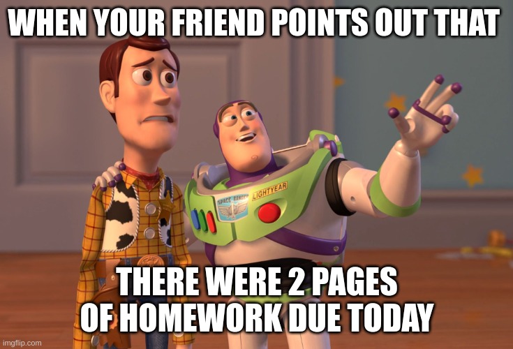 X, X Everywhere | WHEN YOUR FRIEND POINTS OUT THAT; THERE WERE 2 PAGES OF HOMEWORK DUE TODAY | image tagged in memes,x x everywhere | made w/ Imgflip meme maker