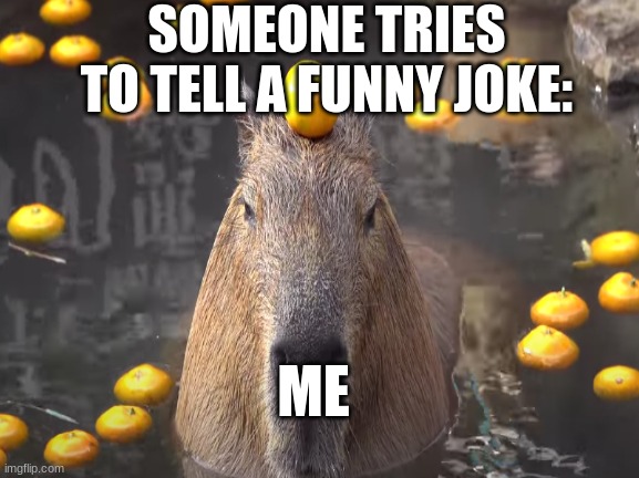 Is this a funny joke? | SOMEONE TRIES TO TELL A FUNNY JOKE:; ME | image tagged in capybara | made w/ Imgflip meme maker