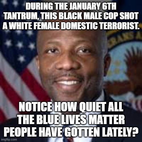 Michael Byrd ashli babbit | DURING THE JANUARY 6TH TANTRUM, THIS BLACK MALE COP SHOT A WHITE FEMALE DOMESTIC TERRORIST. NOTICE HOW QUIET ALL THE BLUE LIVES MATTER PEOPLE HAVE GOTTEN LATELY? | image tagged in michael byrd ashli babbit | made w/ Imgflip meme maker