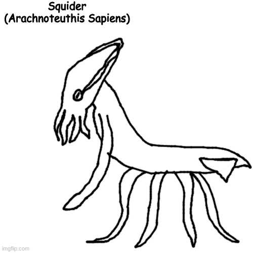 Squider | image tagged in squider | made w/ Imgflip meme maker