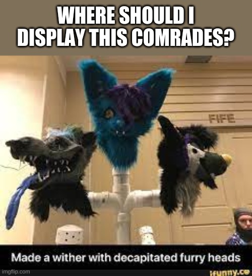 Well? | WHERE SHOULD I DISPLAY THIS COMRADES? | image tagged in headless furry | made w/ Imgflip meme maker