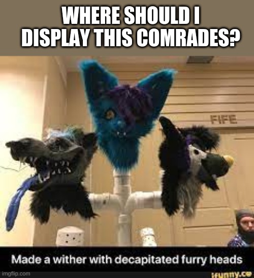 Your thoughts? | WHERE SHOULD I DISPLAY THIS COMRADES? | image tagged in headless furry | made w/ Imgflip meme maker
