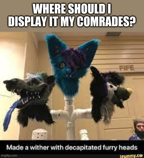 Well? | WHERE SHOULD I DISPLAY IT MY COMRADES? | image tagged in headless furry | made w/ Imgflip meme maker