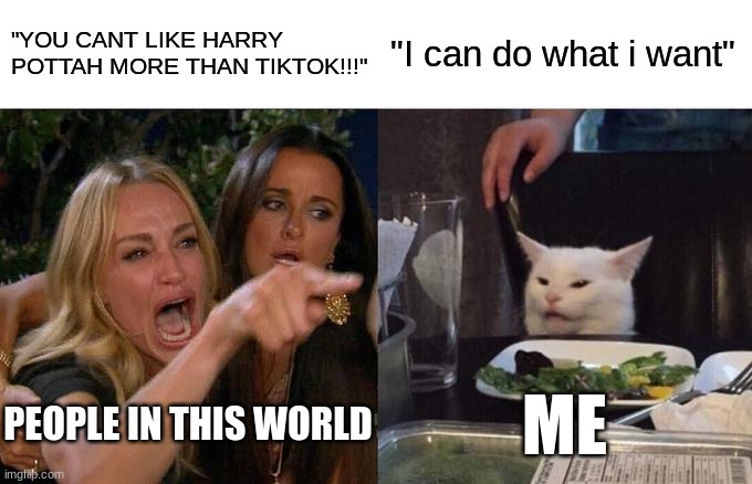the sad trooth | "YOU CANT LIKE HARRY POTTAH MORE THAN TIKTOK!!!"; "I can do what i want"; PEOPLE IN THIS WORLD; ME | image tagged in memes,woman yelling at cat | made w/ Imgflip meme maker