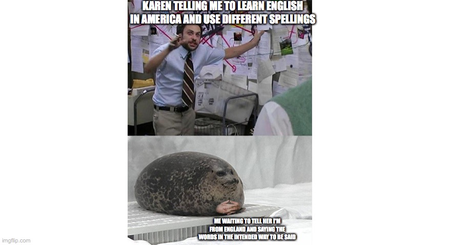 Seal Listening to Crazy Theories | KAREN TELLING ME TO LEARN ENGLISH IN AMERICA AND USE DIFFERENT SPELLINGS; ME WAITING TO TELL HER I'M FROM ENGLAND AND SAYING THE WORDS IN THE INTENDED WAY TO BE SAID | image tagged in seal listening to crazy theories | made w/ Imgflip meme maker