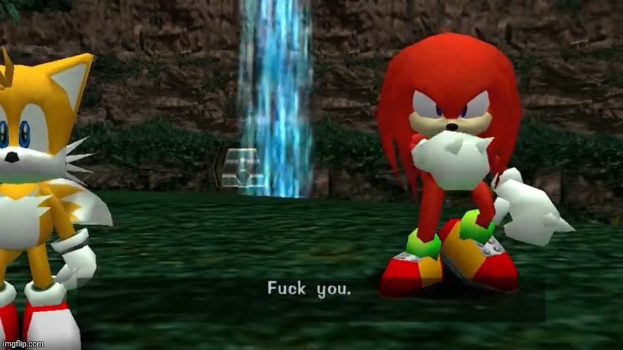 Knuckles fuck you | image tagged in knuckles fuck you | made w/ Imgflip meme maker