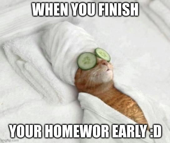 Sleeping cat | WHEN YOU FINISH; YOUR HOMEWOR EARLY :D | image tagged in sleeping cat,memes | made w/ Imgflip meme maker