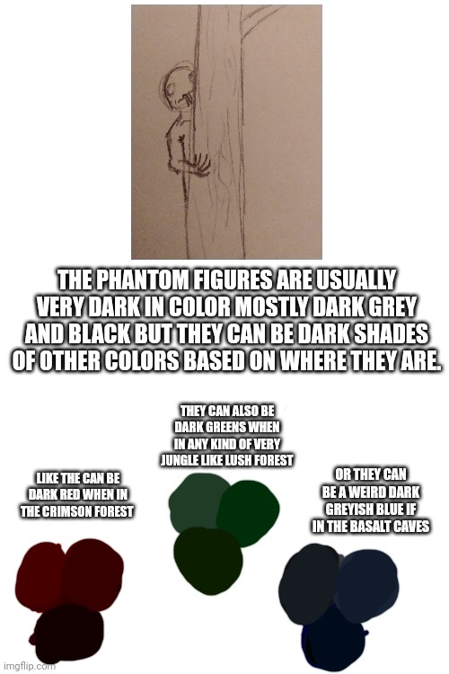Yeah ik it's kinda hard to tell the difference in the shades of color :/ | THE PHANTOM FIGURES ARE USUALLY VERY DARK IN COLOR MOSTLY DARK GREY AND BLACK BUT THEY CAN BE DARK SHADES OF OTHER COLORS BASED ON WHERE THEY ARE. THEY CAN ALSO BE DARK GREENS WHEN IN ANY KIND OF VERY JUNGLE LIKE LUSH FOREST; OR THEY CAN BE A WEIRD DARK GREYISH BLUE IF IN THE BASALT CAVES; LIKE THE CAN BE DARK RED WHEN IN THE CRIMSON FOREST | image tagged in blank white template | made w/ Imgflip meme maker