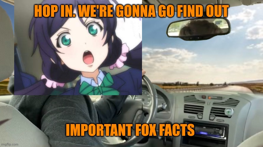 Get in | HOP IN. WE'RE GONNA GO FIND OUT; IMPORTANT FOX FACTS | image tagged in hop in,fox,facts | made w/ Imgflip meme maker