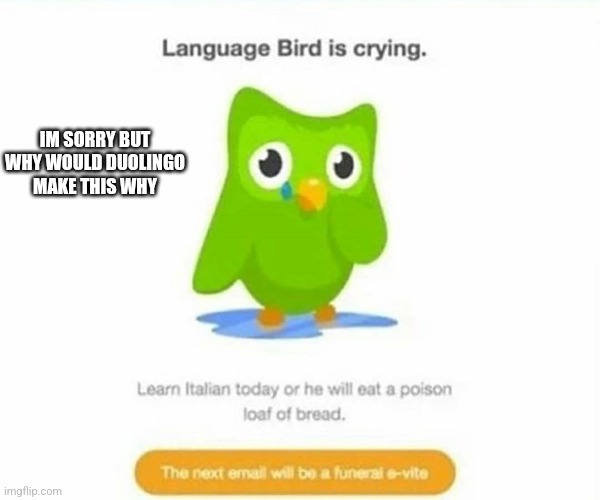 WTF?! | IM SORRY BUT WHY WOULD DUOLINGO MAKE THIS WHY | image tagged in duolingo bird,oh god why,what the fu- | made w/ Imgflip meme maker