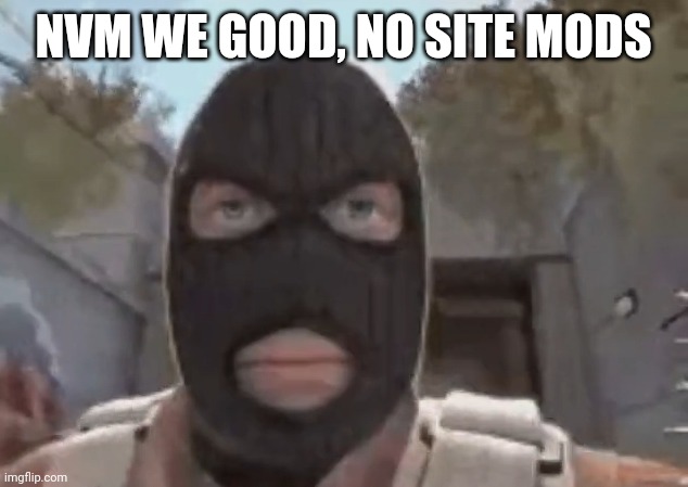 blogol | NVM WE GOOD, NO SITE MODS | image tagged in blogol | made w/ Imgflip meme maker