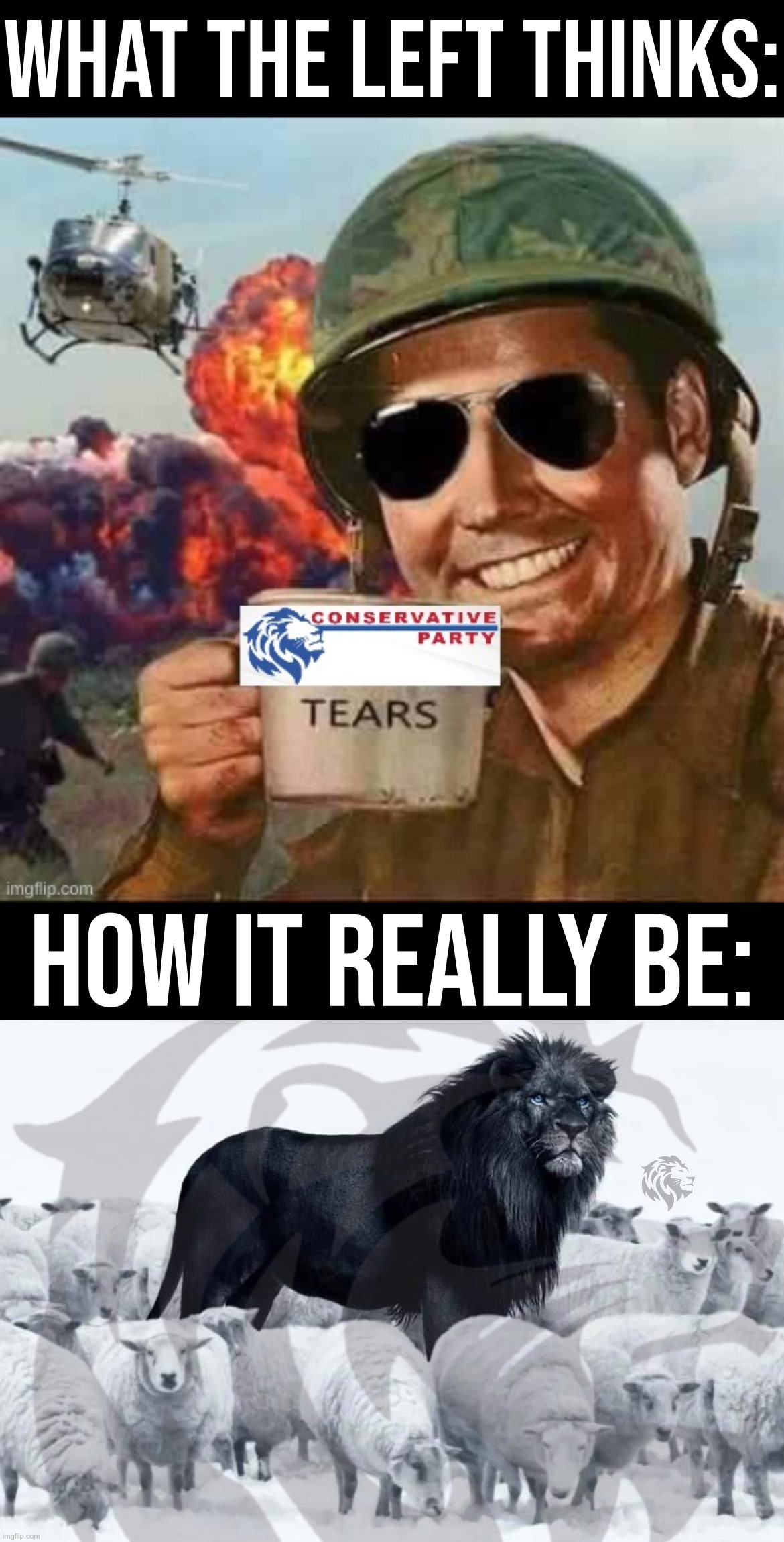 Not mad. Not sorry. Stronger than ever. Not going anywhere. | WHAT THE LEFT THINKS:; HOW IT REALLY BE: | image tagged in conservative party tears,conservative party christians against dinosaurs | made w/ Imgflip meme maker