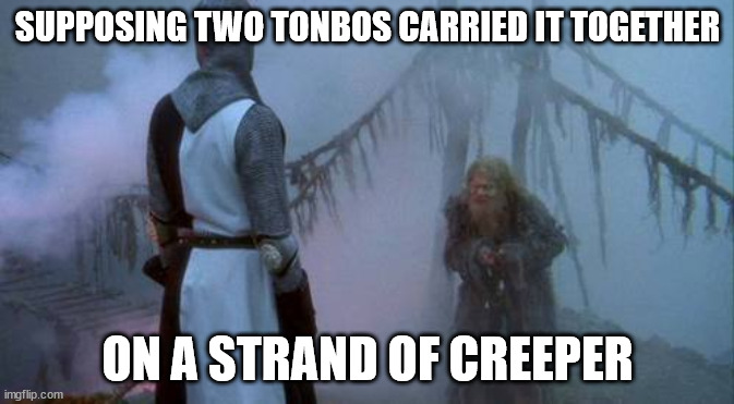 monty python swallow | SUPPOSING TWO TONBOS CARRIED IT TOGETHER; ON A STRAND OF CREEPER | image tagged in monty python swallow | made w/ Imgflip meme maker