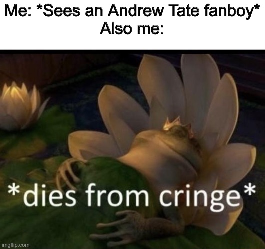 Dies from cringe | Me: *Sees an Andrew Tate fanboy*
Also me: | image tagged in dies from cringe | made w/ Imgflip meme maker