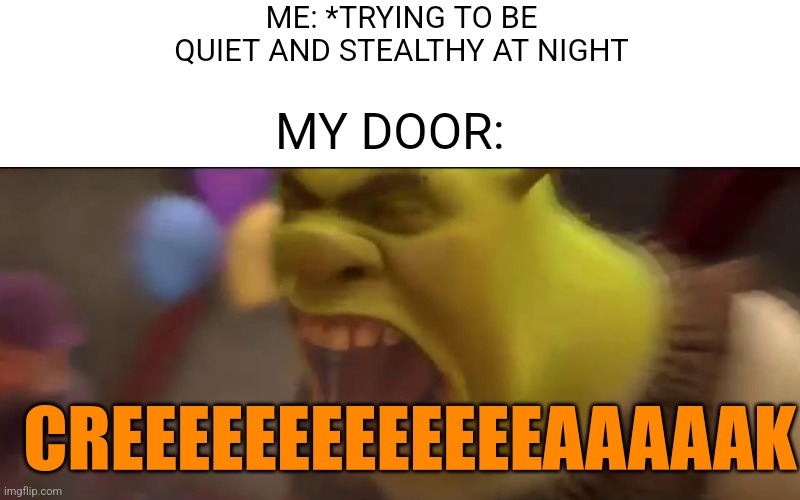 So true for me | ME: *TRYING TO BE QUIET AND STEALTHY AT NIGHT; MY DOOR:; CREEEEEEEEEEEEEAAAAAK | image tagged in shrek screaming,stelth,night,loud noises | made w/ Imgflip meme maker